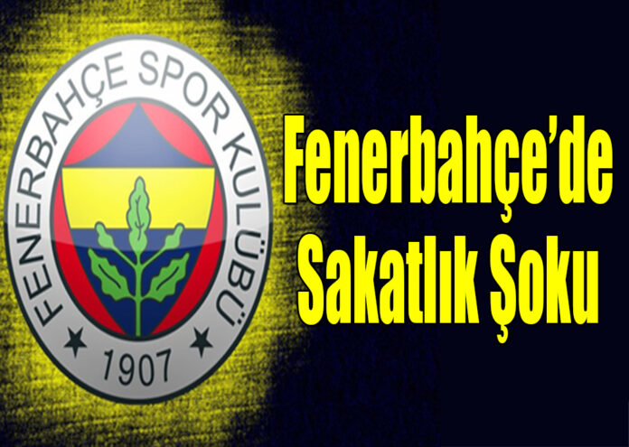 Fenerbahçe’de sakatlık şoku Roberto Soldado sakatlandı