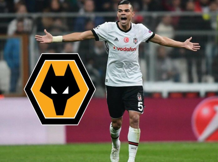 Pepe Wolverhamton Pepe Wolverhamton transferi
