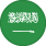 Saudi Pro League Bayrağı