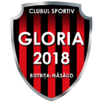 CS Gloria Bistrița logo
