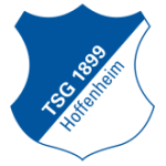 TSG Hoffenheim U19 logo