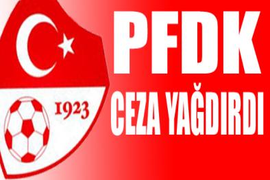 pfdk-yine-ceza-ya-d-rd