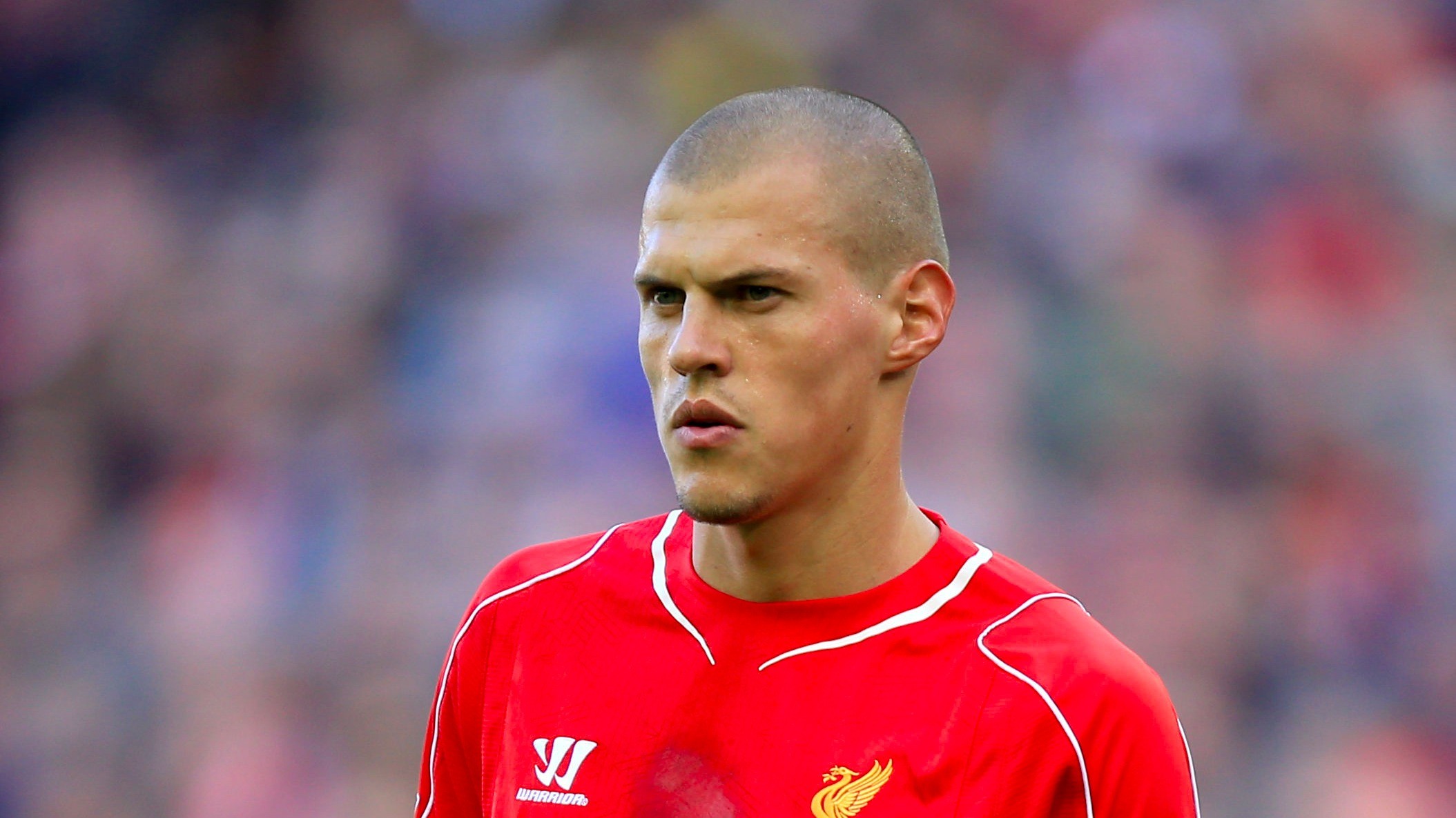 martin-skrtel-fenerbahce-icin-geliyor