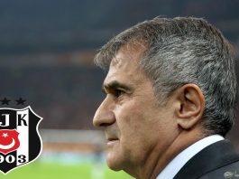 Şenol Güneş Beşiktaş