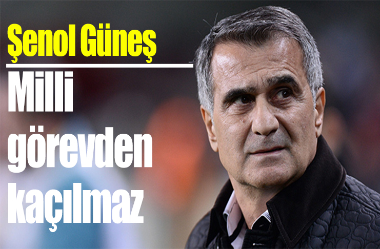 Şenol Güneş