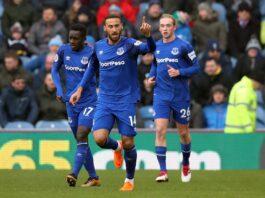 Cenk Tosun Everton Premier Lig