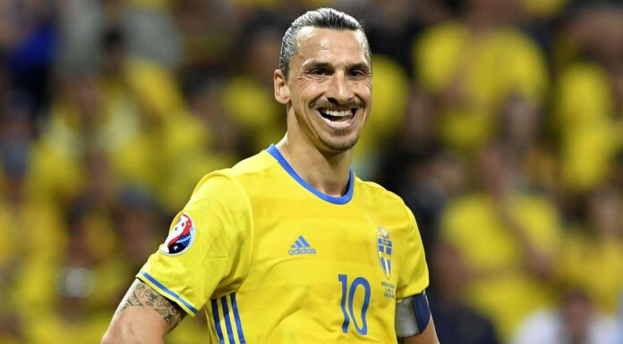 Zlatan Ibrahimovic milli takıma alınmayacak