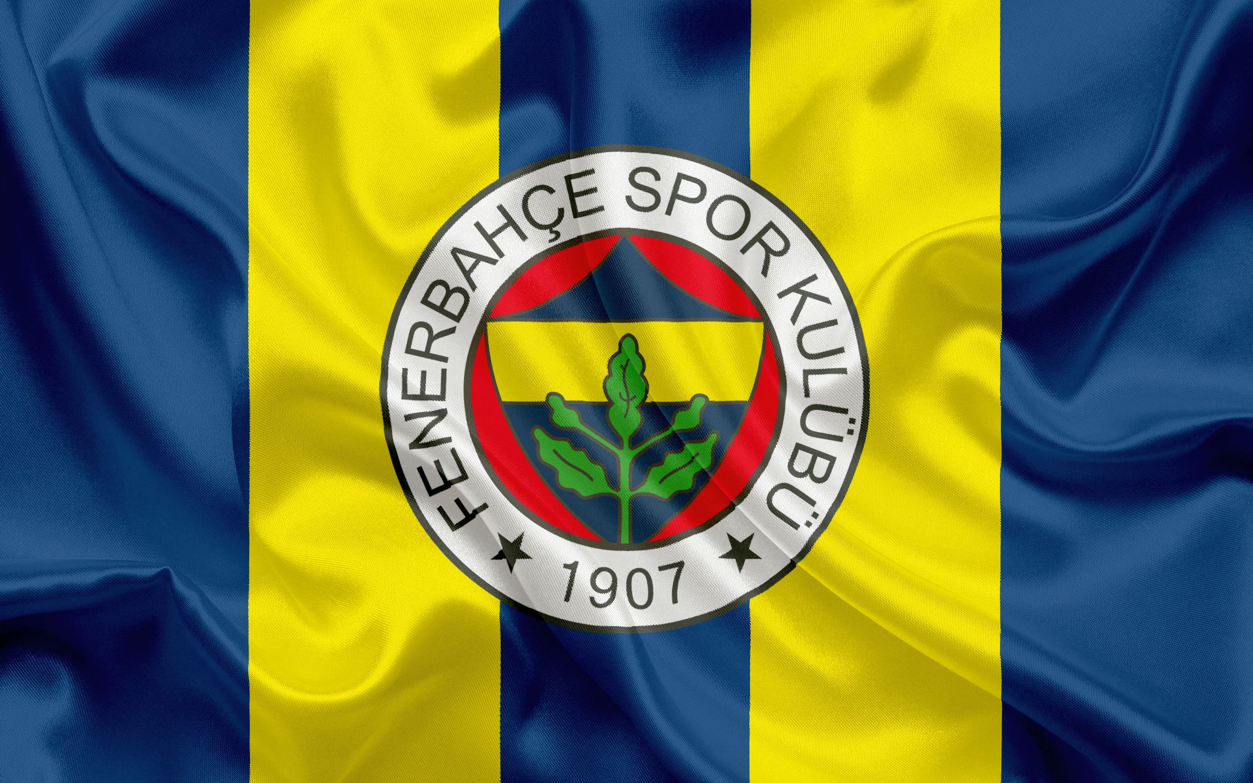 Fenerbahçe seçim sonuçları 2018