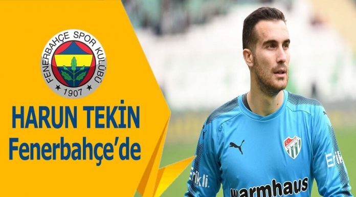 Harun Tekin Fenerbahçe
