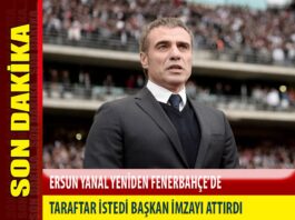 Ersun Yanal Fenerbahçe