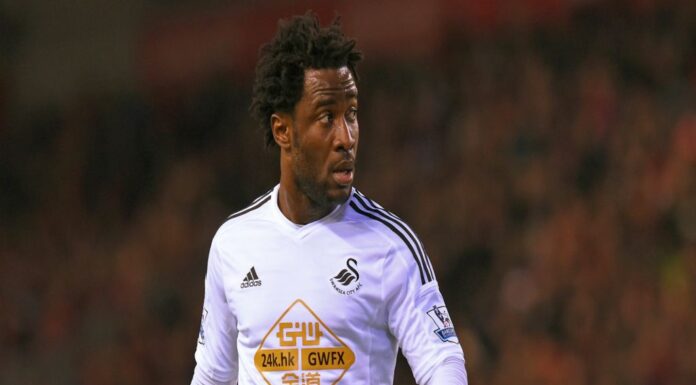 Wilfried Bony Katar