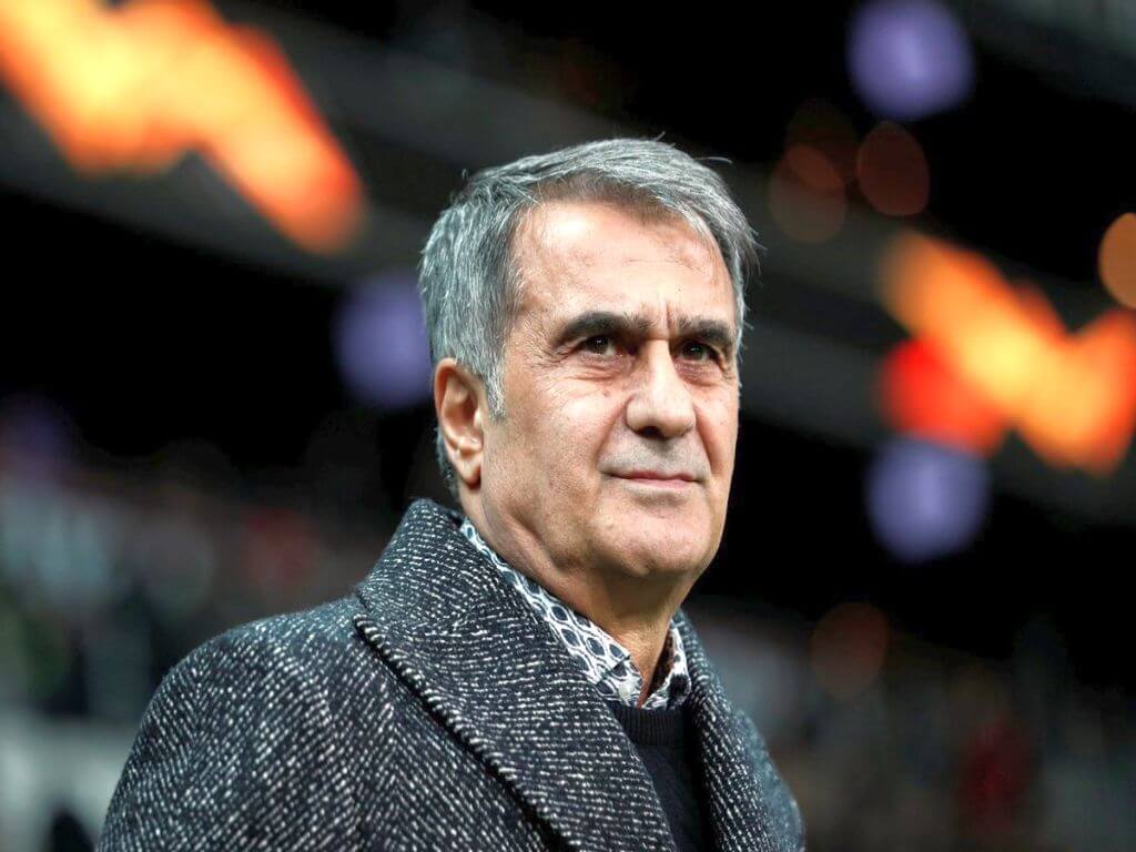 Şenol Güneş milli takım