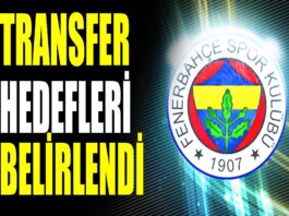 Fenerbahçe 2019 transfer listesi