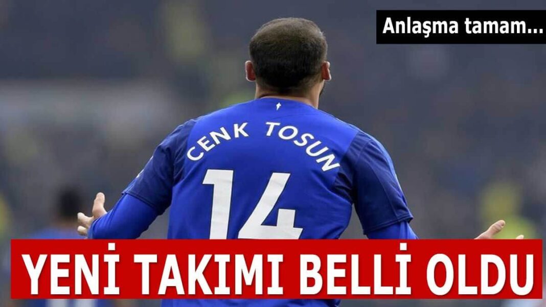 Cenk Tosun Crystal Palace