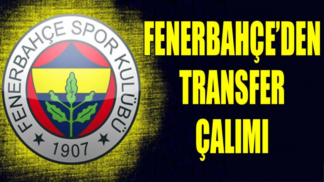 İsmail Çokçalış Fenerbahçe transfer