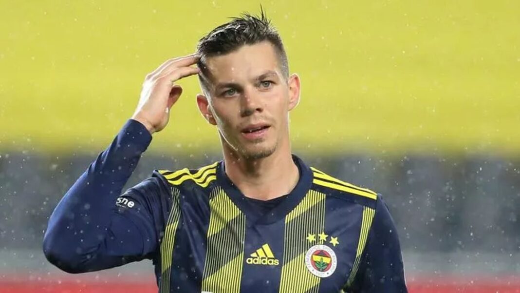 Hull City Fenerbahçe Miha Zajc