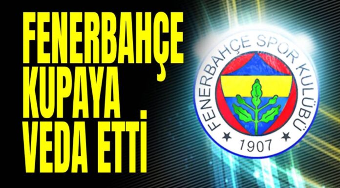 Fenerbahçe Kayserispor maçı